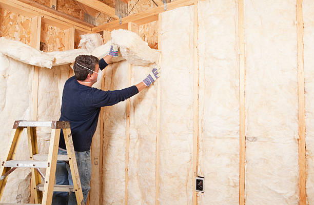 Best Batt and Roll Insulation  in Lucas, TX